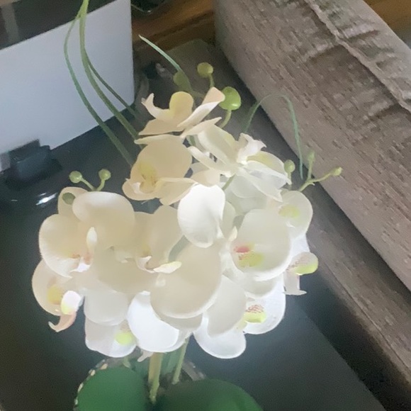 Artificial orchid plant in  a silver pot - Picture 2 of 5